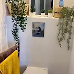 Les Mouettes De Trouville-sur-Mer