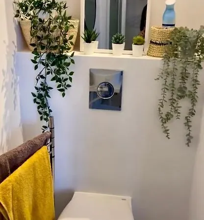 Les Mouettes De Trouville-sur-Mer