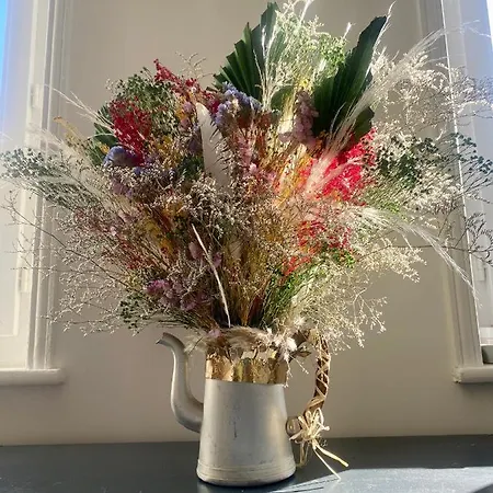 Les Mouettes De Appartement