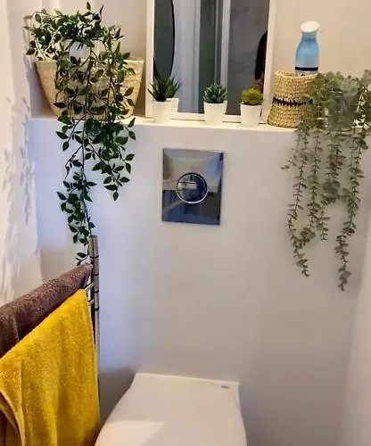 Les Mouettes De Trouville-sur-Mer