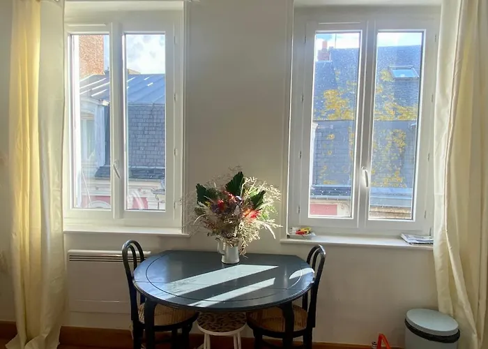 Les Mouettes De * Trouville-sur-Mer